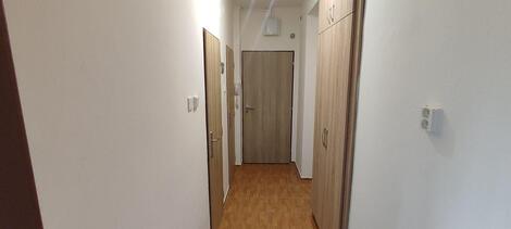 foto02_11544840_p3y4o.jpg
