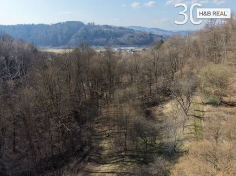 foto02_11481672_gw9j4.jpg