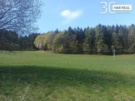 foto02_11515201_3iz54.jpg