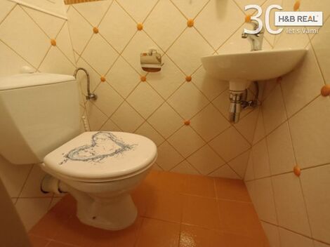 foto02_11545464_ci4bk.jpg