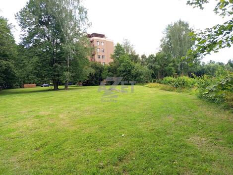 foto02_11472434_1d6rdk.jpg