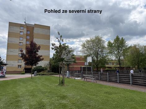 foto02_11499833_1grzjc.jpg
