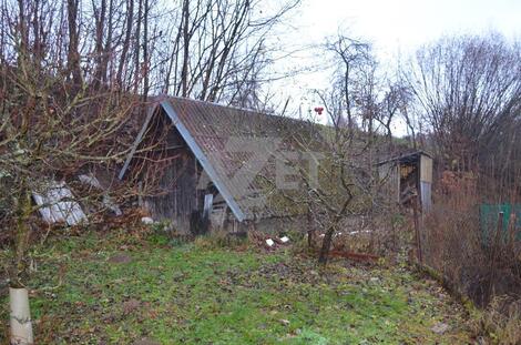 foto02_11503412_f91z0.jpg