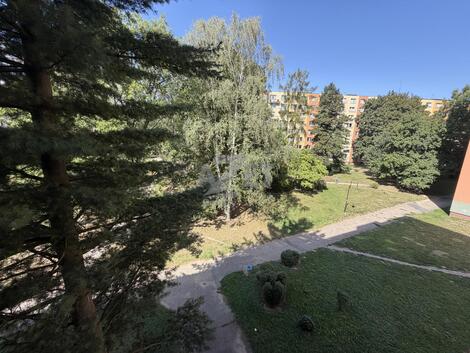 foto02_11548957_cu9tk.jpg