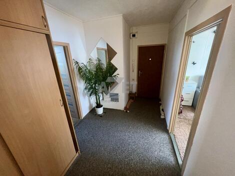 foto02_11549541_ct3ow.jpg