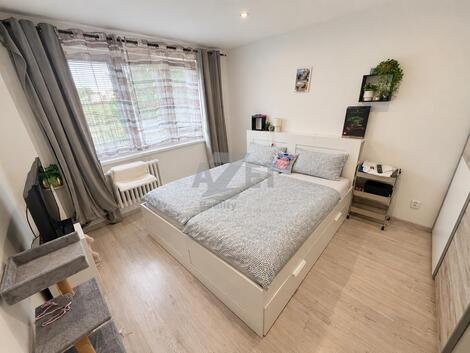 foto02_11559507_11r40c.jpg
