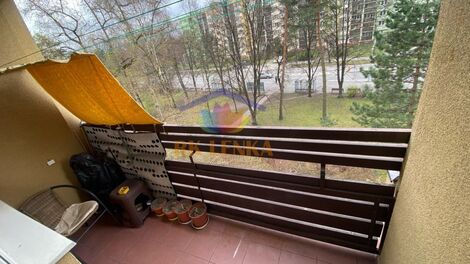 foto02_11510168_a1z0o.jpg