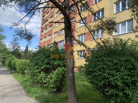 foto02_11542551_17kyvc.jpg