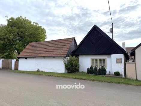 foto02_11342077_1kzvto.jpg