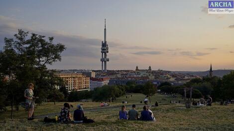foto02_11371399_14wnl4.jpg