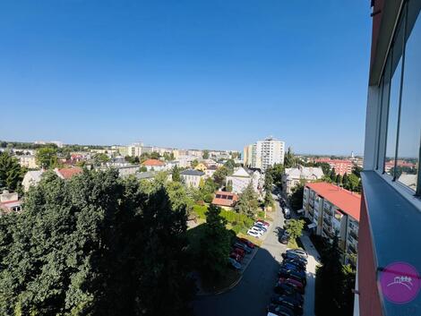 foto02_11365292_nkju8.jpg