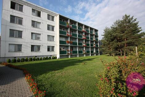 foto02_11381344_1jkmu8.jpg