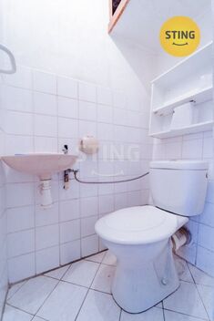 foto02_11288733_1cl9x4.jpg
