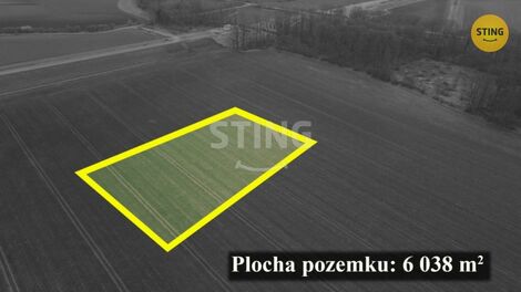foto02_11343667_r8hdk.jpg