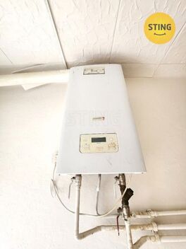foto02_11344876_1n4lec.jpg