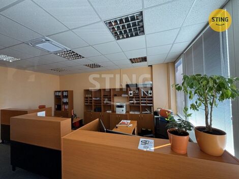 foto02_11346845_1m0rg4.jpg