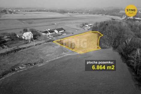 foto02_11350076_18gxes.jpg