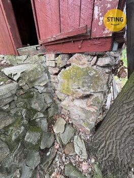 foto02_11356110_4dhg0.jpg