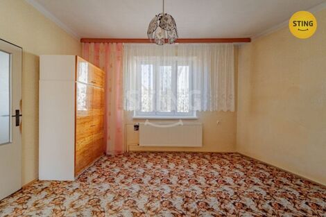foto02_11362172_1f7hz0.jpg