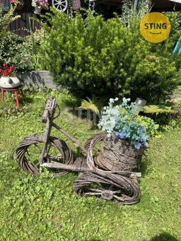 foto02_11364256_fzlu4.jpg
