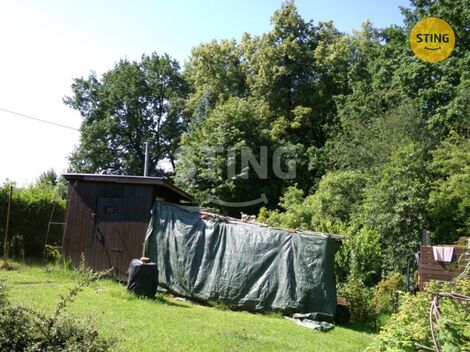 foto02_11368383_1habc4.jpg