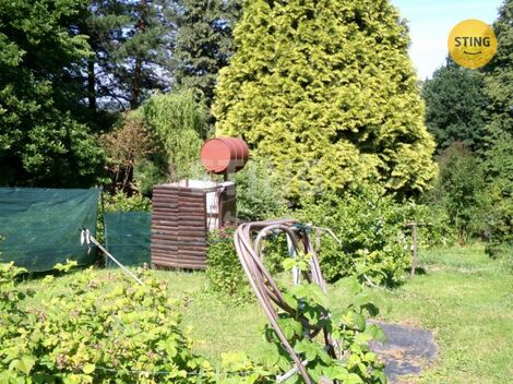 foto02_11368383_6ibc8.jpg
