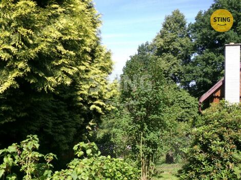 foto02_11368383_l6sf0.jpg