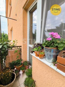 foto02_11370915_8gugk.jpg