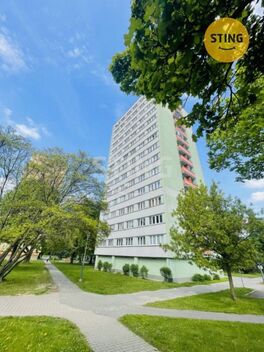 foto02_11371409_idzek.jpg