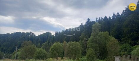 foto02_11371897_15zxv0.jpg