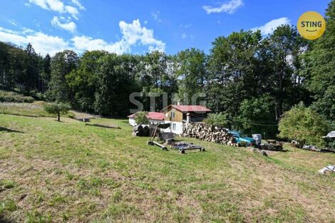 foto02_11372933_53cp0.jpg