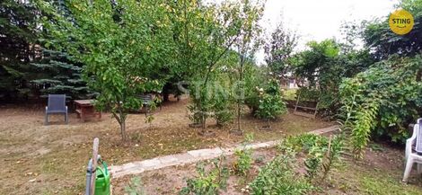 foto02_11380244_1di0p8.jpg