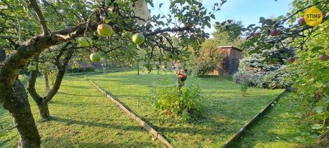 foto02_11384266_dpvh4.jpg