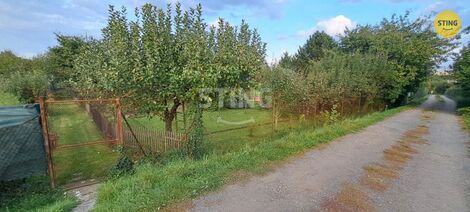 foto02_11384266_ofv2s.jpg