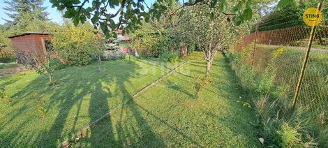 foto02_11384266_qjnbg.jpg