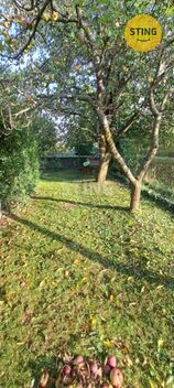 foto02_11384266_vhn6s.jpg