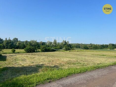 foto02_11424440_zjno4.jpg