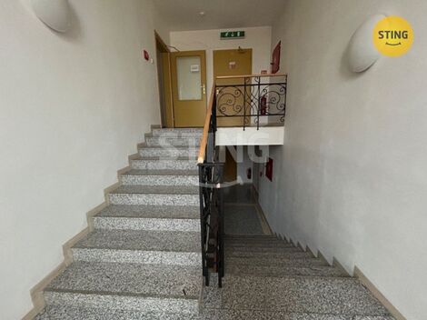 foto02_11435478_98d1o.jpg