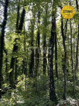foto02_11473559_wgyeo.jpg