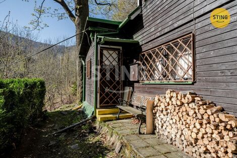 foto02_11486064_nipek.jpg