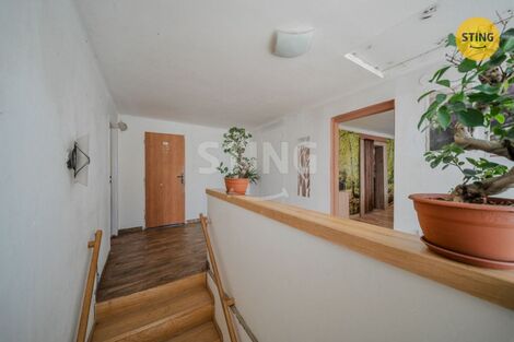 foto02_11488124_5lp4.jpg