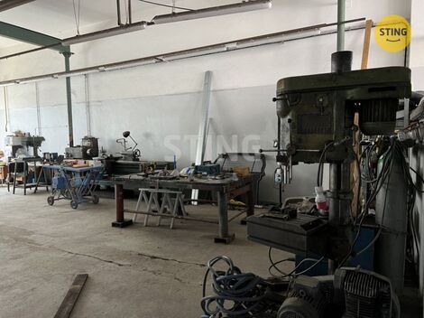 foto02_11492717_uv6bc.jpg