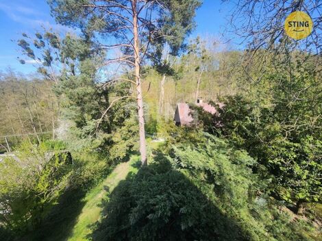 foto02_11493433_xmijs.jpg