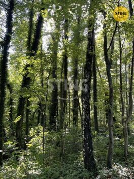 foto02_11493434_6yjzg.jpg