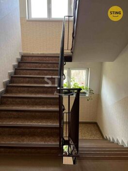 foto02_11494188_8ry2o.jpg