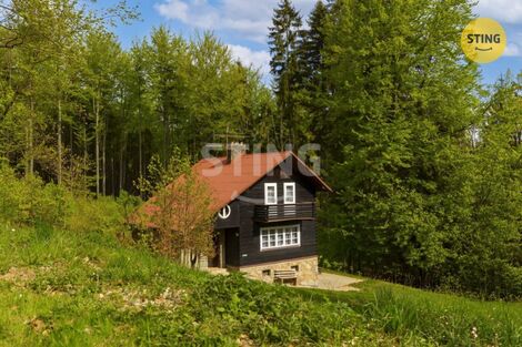 foto02_11495413_skm0k.jpg