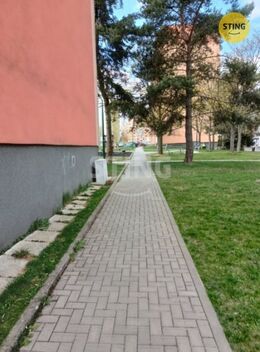 foto02_11497646_1hd4yg.jpg
