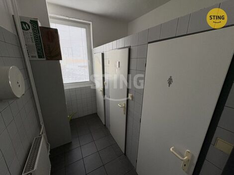 foto02_11499840_16cips.jpg