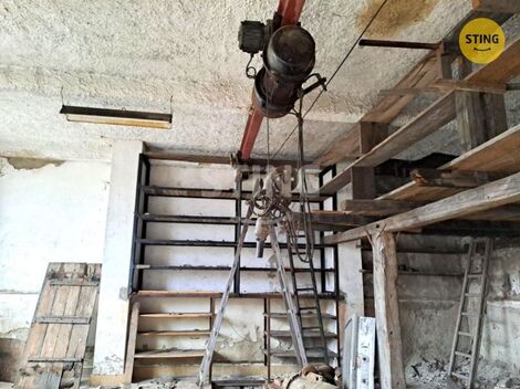 foto02_11500539_cnqsg.jpg