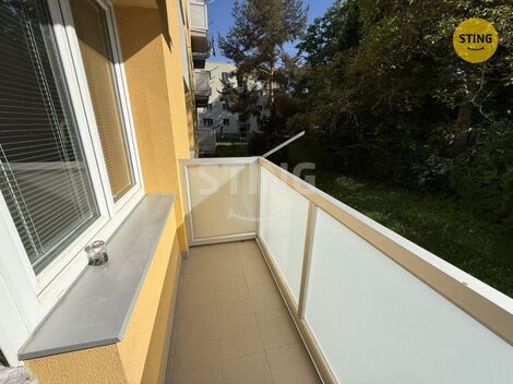 foto02_11502959_1k5ok0.jpg